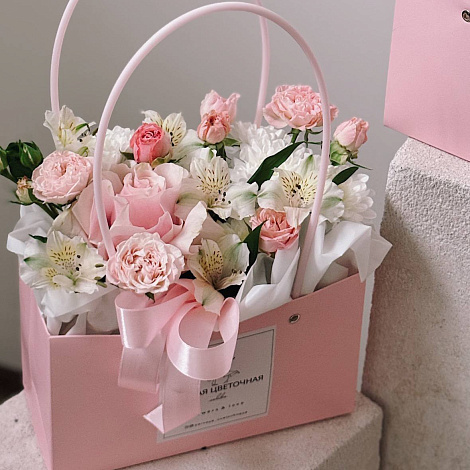 Композиция San-Jose